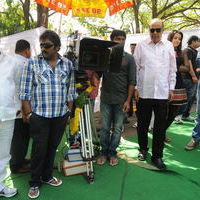 Venky and Trisha New Movie Launch Stilss | Picture 33990